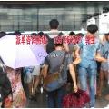 琶洲會展派單與大型活動組織 廣州展會服務的專業(yè)引擎